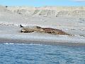 Wales-Nome 128